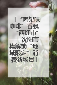 “鸡架味咖啡”香飘“西红市”——沈阳市集解锁“地域限定”消费新场景