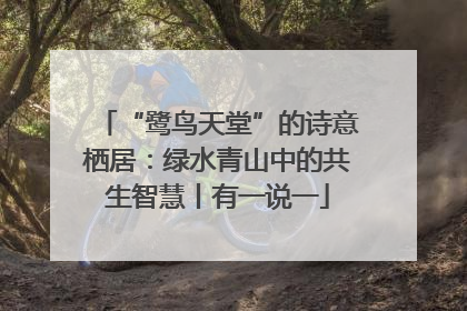 “鹭鸟天堂”的诗意栖居：绿水青山中的共生智慧丨有一说一