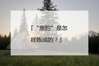 “黑豹”是怎样炼成的？