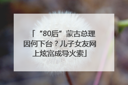 “80后”蒙古总理因何下台？儿子女友网上炫富成导火索