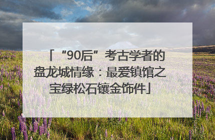 “90后”考古学者的盘龙城情缘：最爱镇馆之宝绿松石镶金饰件
