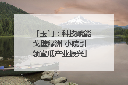 玉门：科技赋能戈壁绿洲 小院引领蜜瓜产业振兴