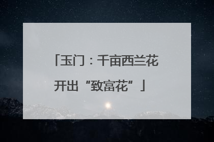 玉门：千亩西兰花开出“致富花”