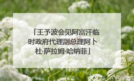 王予波会见阿富汗临时政府代理副总理阿卜杜·萨拉姆·哈纳菲