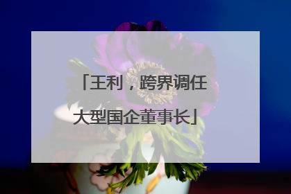 王利，跨界调任大型国企董事长