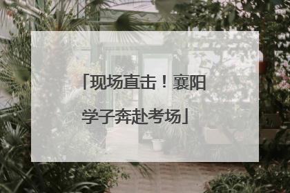 现场直击！襄阳学子奔赴考场