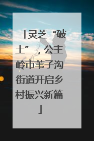 灵芝“破土”，公主岭市苇子沟街道开启乡村振兴新篇