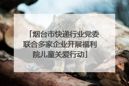 烟台市快递行业党委联合多家企业开展福利院儿童关爱行动