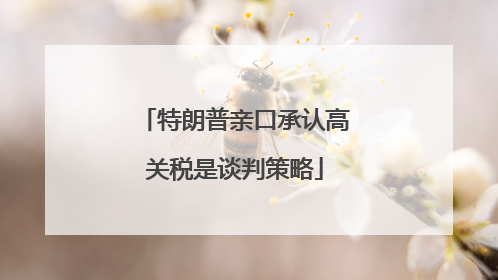 特朗普亲口承认高关税是谈判策略