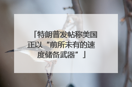 特朗普发帖称美国正以“前所未有的速度储备武器”