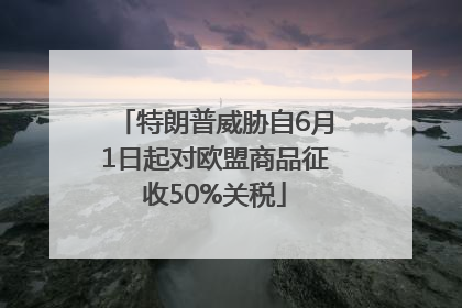特朗普威胁自6月1日起对欧盟商品征收50%关税