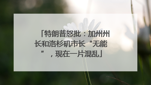 特朗普怒批：加州州长和洛杉矶市长“无能”，现在一片混乱
