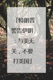 特朗普警告伊朗：与美无关，不要打美国