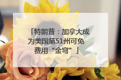 特朗普：加拿大成为美国第51州可免费用“金穹”