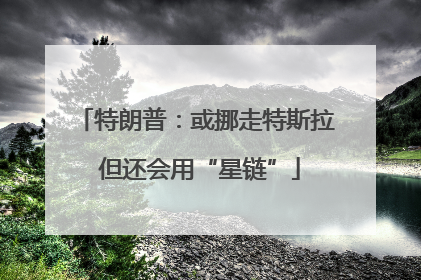 特朗普：或挪走特斯拉 但还会用“星链”