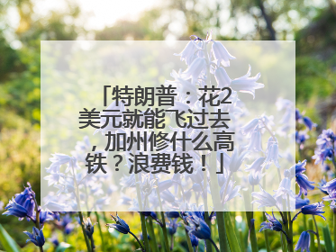 特朗普：花2美元就能飞过去，加州修什么高铁？浪费钱！