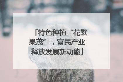 特色种植“花繁果茂”，富民产业释放发展新动能