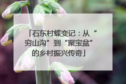 石东村蝶变记：从“穷山沟”到“聚宝盆”的乡村振兴传奇