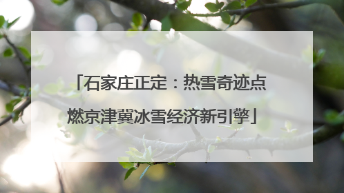 石家庄正定：热雪奇迹点燃京津冀冰雪经济新引擎