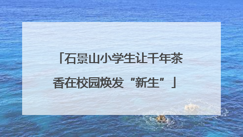 石景山小学生让千年茶香在校园焕发“新生”