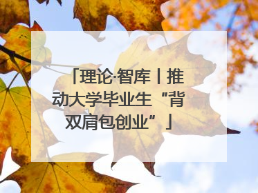理论·智库丨推动大学毕业生“背双肩包创业”