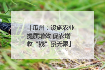 瓜州：设施农业提质增效 促农增收“钱”景无限