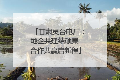 甘肃灵台电厂：地企共建结硕果 合作共赢启新程