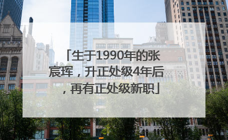 生于1990年的张宸珲，升正处级4年后，再有正处级新职