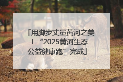 用脚步丈量黄河之美！“2025黄河生态公益健康跑”完成