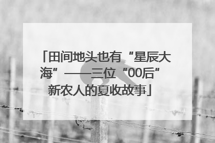 田间地头也有“星辰大海”——三位“00后”新农人的夏收故事