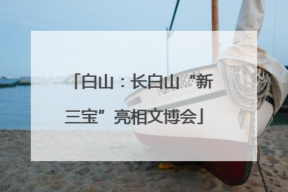 白山：长白山“新三宝”亮相文博会