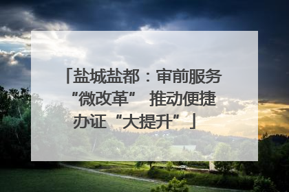 盐城盐都：审前服务“微改革” 推动便捷办证“大提升”