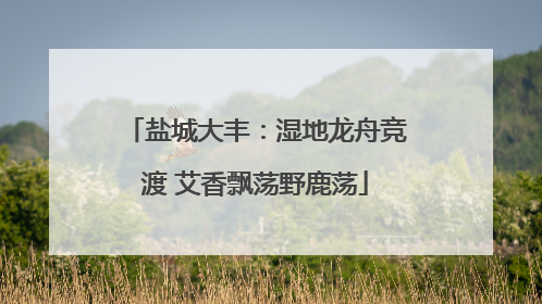盐城大丰：湿地龙舟竞渡 艾香飘荡野鹿荡