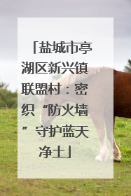 盐城市亭湖区新兴镇联盟村：密织“防火墙”守护蓝天净土