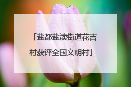 盐都盐渎街道花吉村获评全国文明村