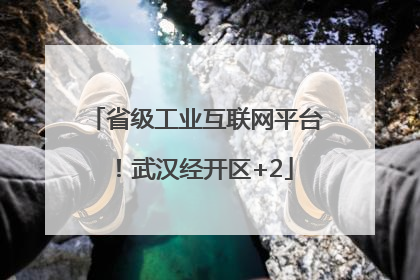 省级工业互联网平台！武汉经开区+2