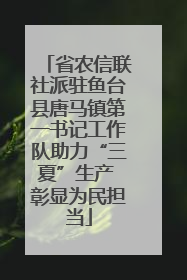 省农信联社派驻鱼台县唐马镇第一书记工作队助力“三夏”生产 彰显为民担当