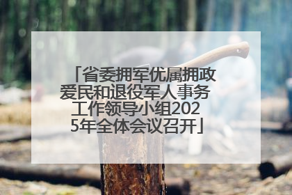 省委拥军优属拥政爱民和退役军人事务工作领导小组2025年全体会议召开