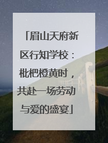 眉山天府新区行知学校：枇杷橙黄时，共赴一场劳动与爱的盛宴