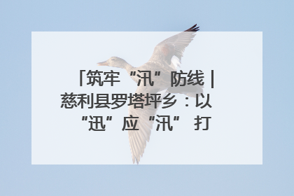 筑牢“汛”防线｜慈利县罗塔坪乡：以“迅”应“汛” 打赢暴雨防御战