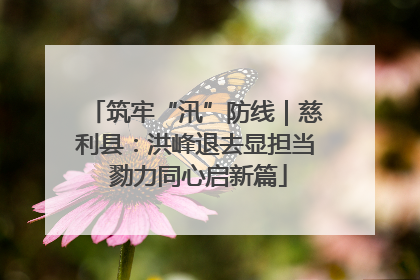 筑牢“汛”防线｜慈利县：洪峰退去显担当 勠力同心启新篇