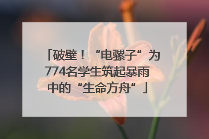 破壁！“电骡子”为774名学生筑起暴雨中的“生命方舟”