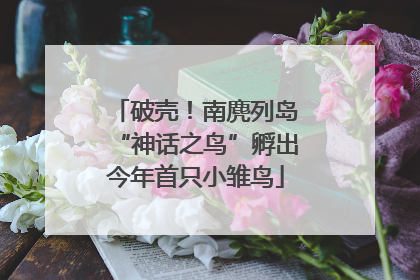 破壳！南麂列岛“神话之鸟”孵出今年首只小雏鸟