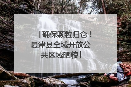 确保颗粒归仓！夏津县全域开放公共区域晒粮