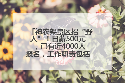 神农架景区招“野人”！日薪500元，已有近4000人报名，工作职责包括“接受游客投喂”