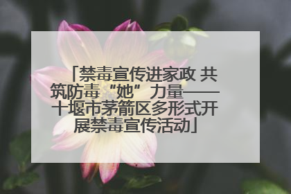 禁毒宣传进家政 共筑防毒“她”力量——十堰市茅箭区多形式开展禁毒宣传活动