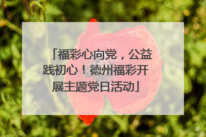 福彩心向党，公益践初心！德州福彩开展主题党日活动