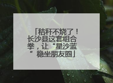 秸秆不烧了！长沙县这套组合拳，让“星沙蓝”稳坐朋友圈