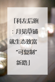 科左后旗：月见草铺就生态致富“可复制”新路
