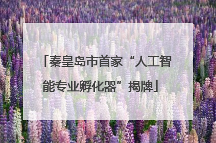 秦皇岛市首家“人工智能专业孵化器”揭牌